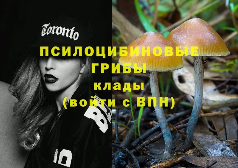 Псилоцибиновые грибы Magic Shrooms  Байкальск 